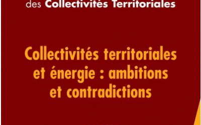 Le démarketing, instrument de politique énergétique des collectivités territoriales (2013)